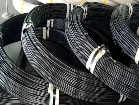 Проволока из пружинной стали 55SiCrA