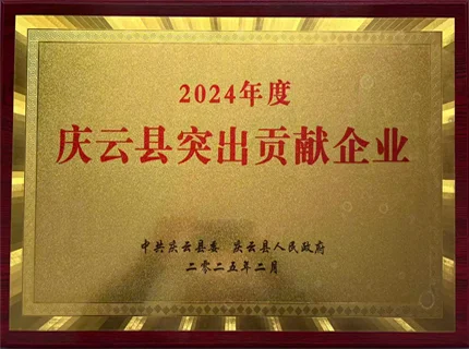 Qingyun County's Outstanding Contribution Enterprise